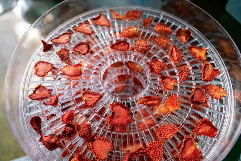 Erdbeeren konservieren im Dörrautomat